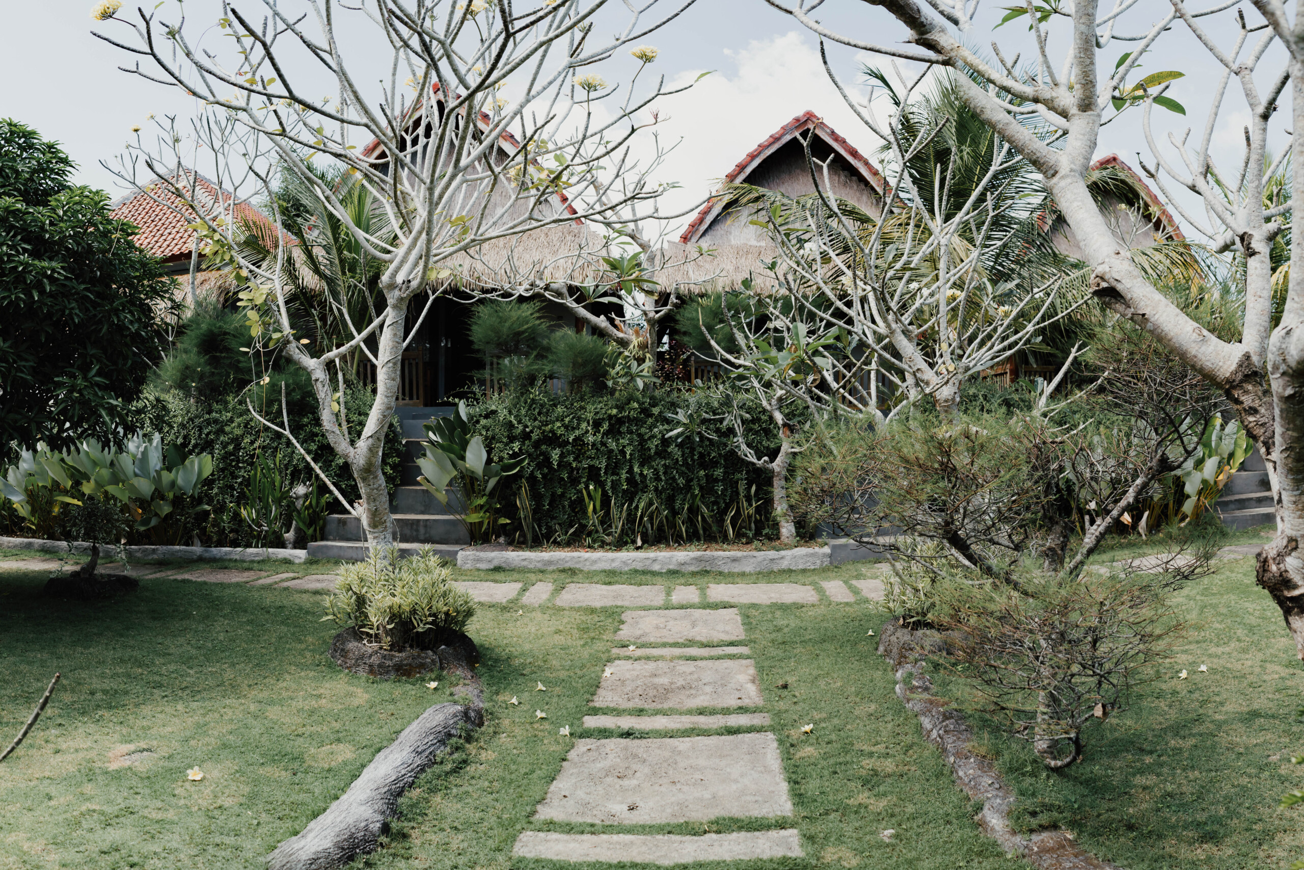 4SC05999-Pano